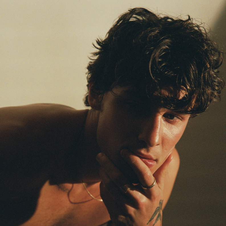 SHAWN MENDES, DOJA CAT, TWENTY ONE PILOTS Y CHLÖE CANTARÁN EN VIVO EN