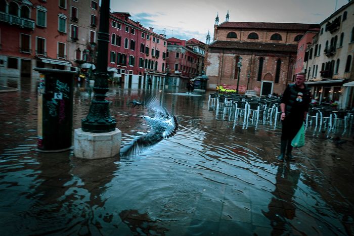 Un fotógrafo pasa un día entero en la Venecia inundada, captura lo diferente que se ve la ciudad